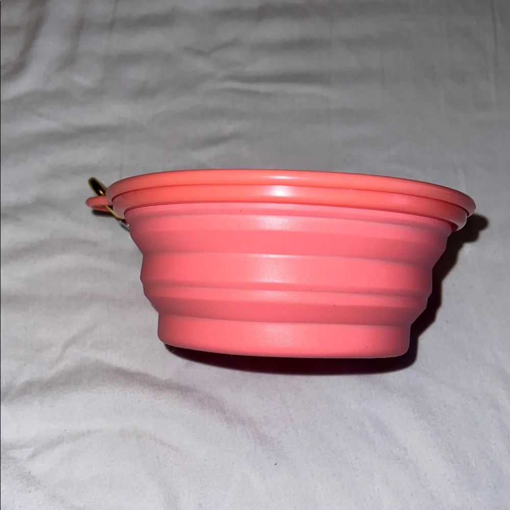 Collapsible Pink Pet Bowl